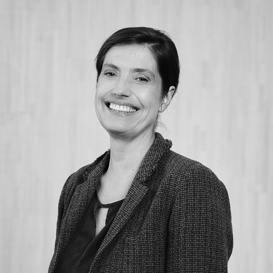 Helen Taylor Metaplan