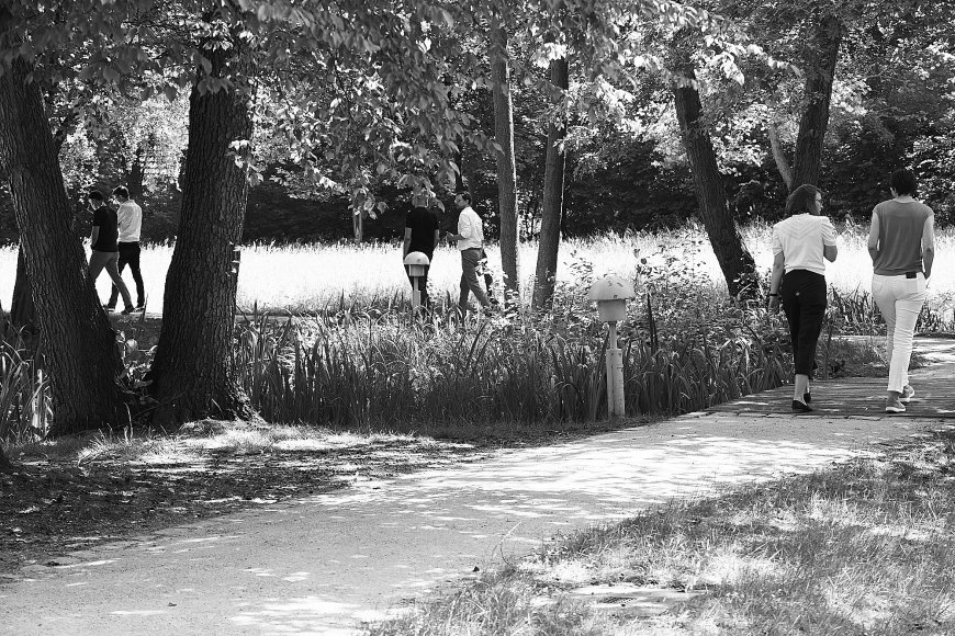 Teilnehmerinnen des Professional Programms auf einer Parkrunde